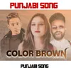 About Color Brown Song